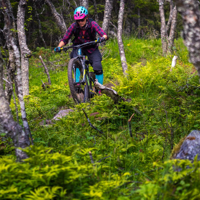 Hagaelva trail - trailovo čučoriedkové orgie