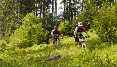 Marikovsk&eacute; Traildorado