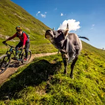 Serfaus Fiss Ladis - najlepšie stredisko v Alpách pre rodiny s deťmi