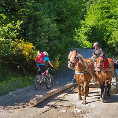 Na bicykli po rumunsk&yacute;ch hor&aacute;ch, časť 1 - Maramure&scaron;